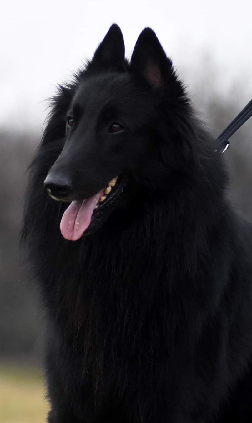 2.5 years 10