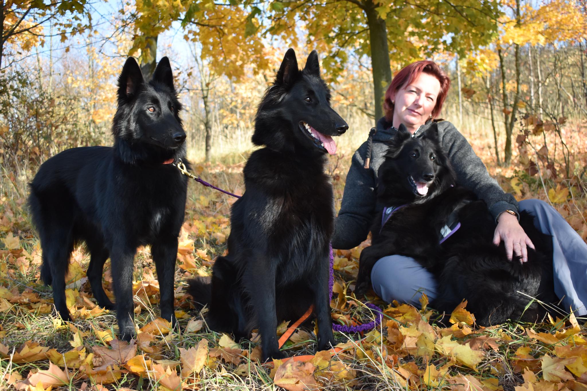 Chelsea, Gioja a Mucius Fiona