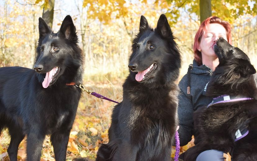Chelsea, Gioja a Mucius Fiona