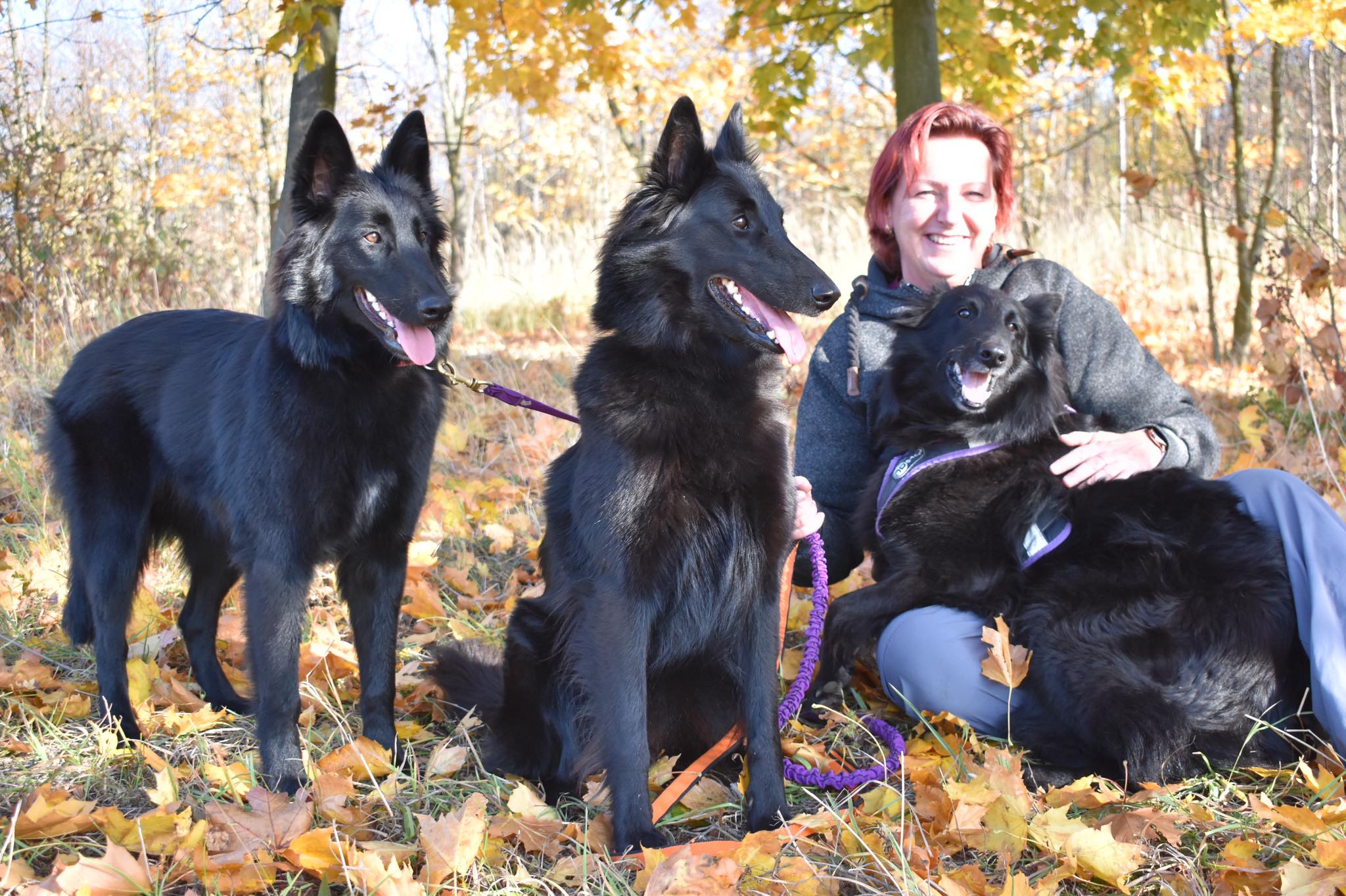 Chelsea, Gioja a Mucius Fiona