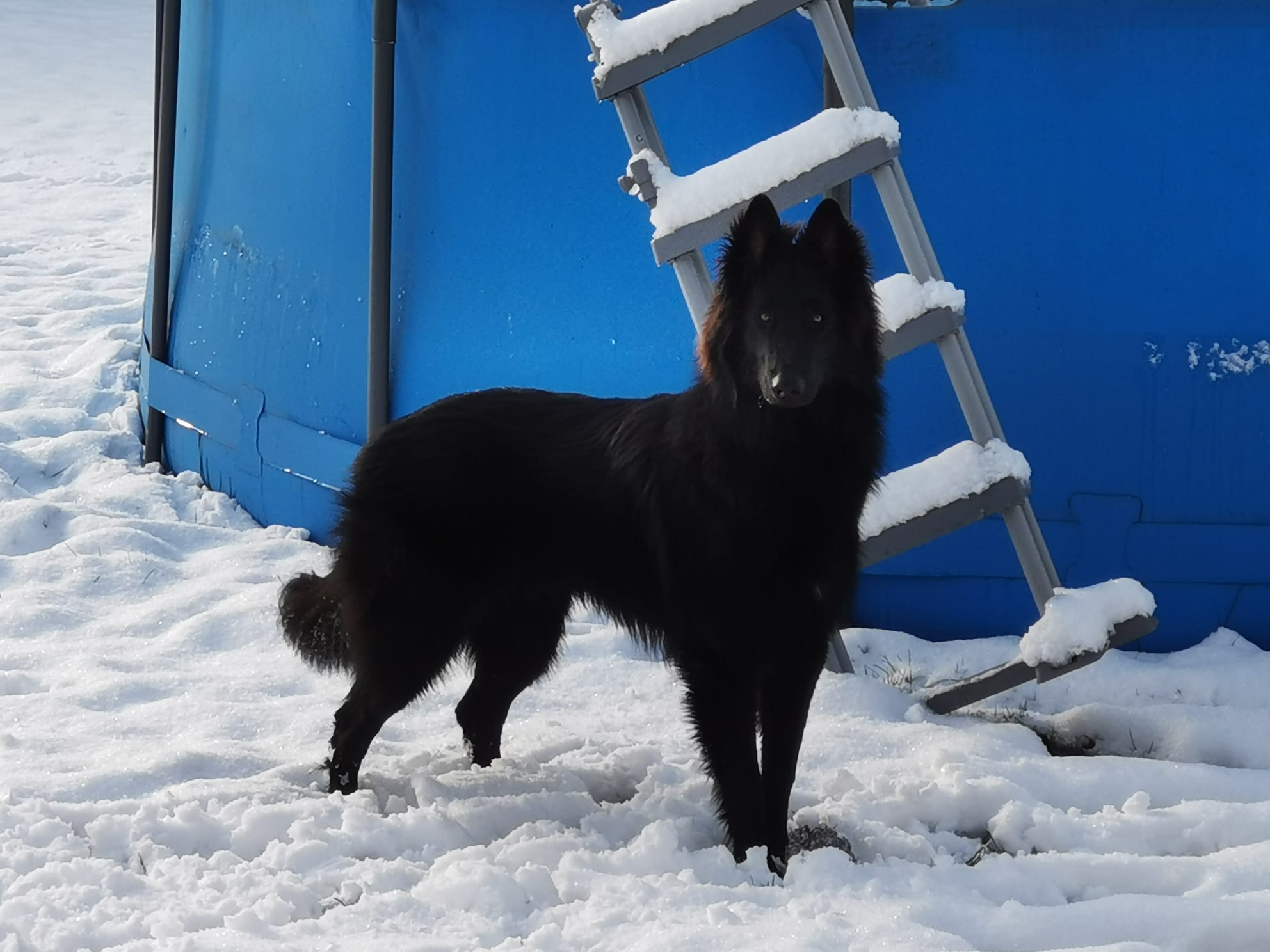 9 months old