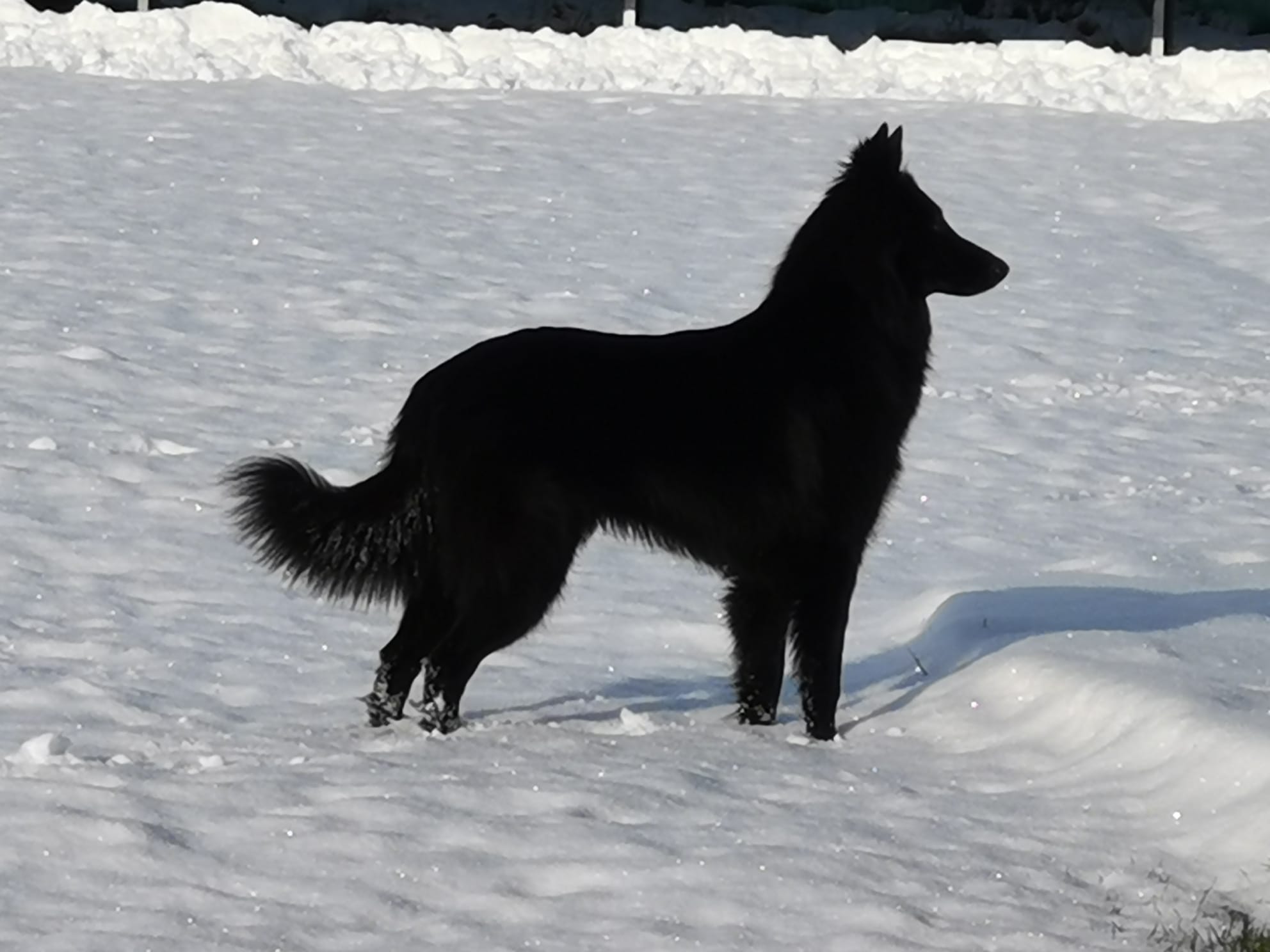 9 months old