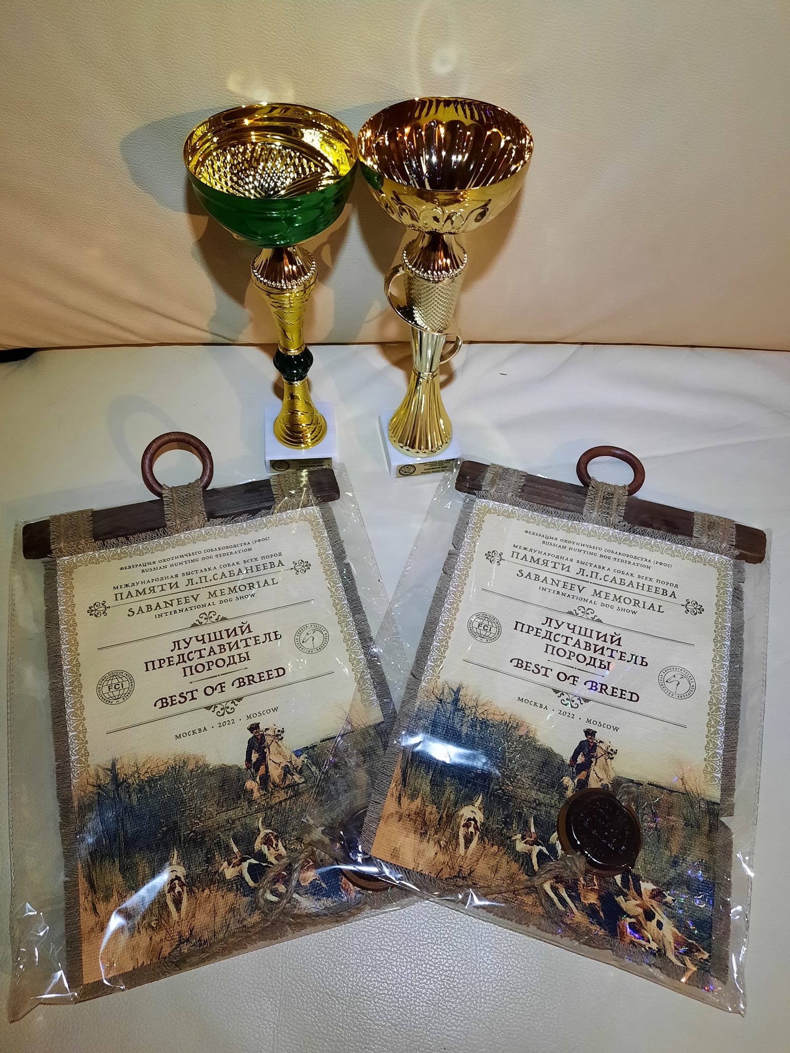 MVP Moskva 2