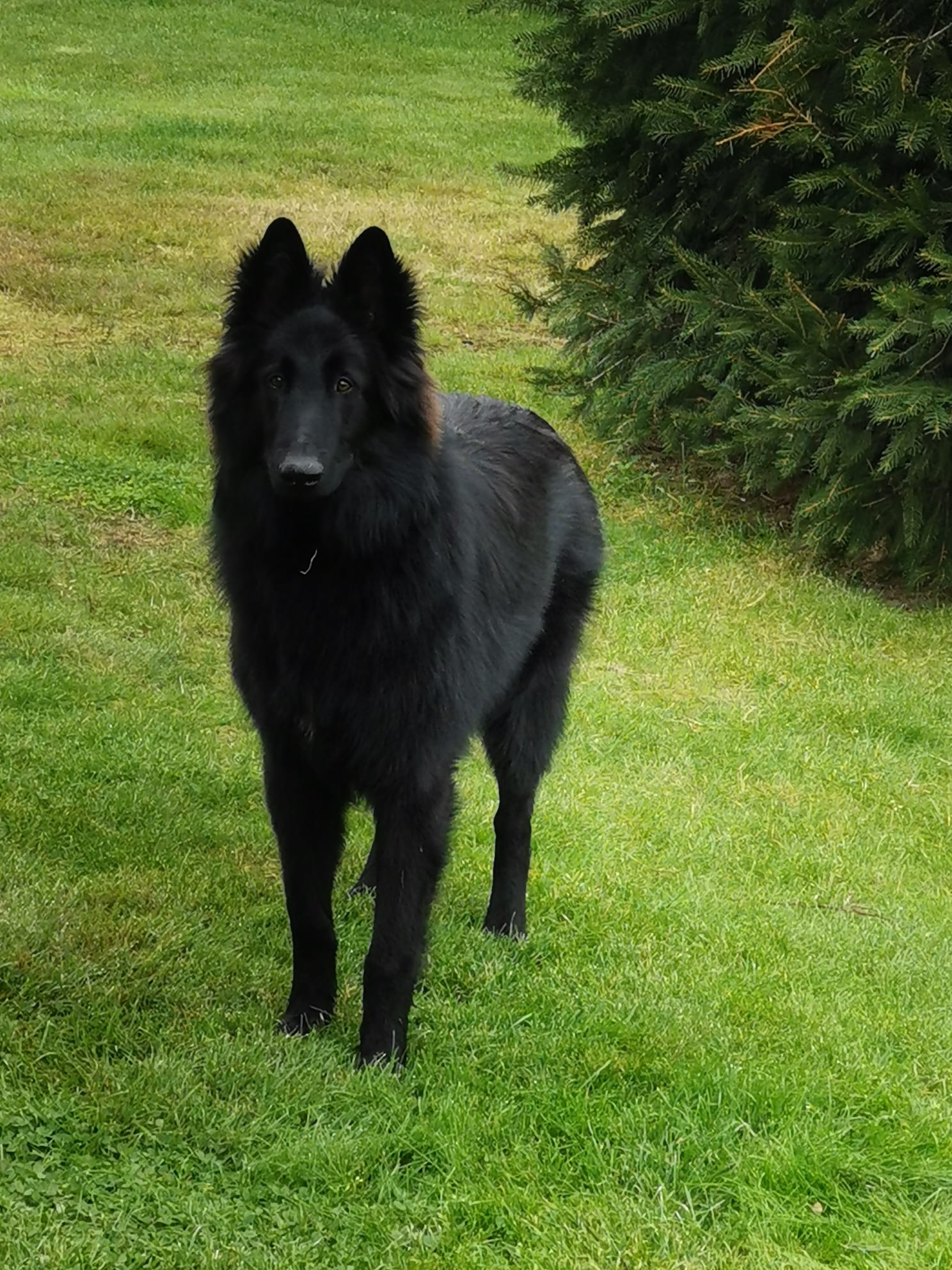 9 months old