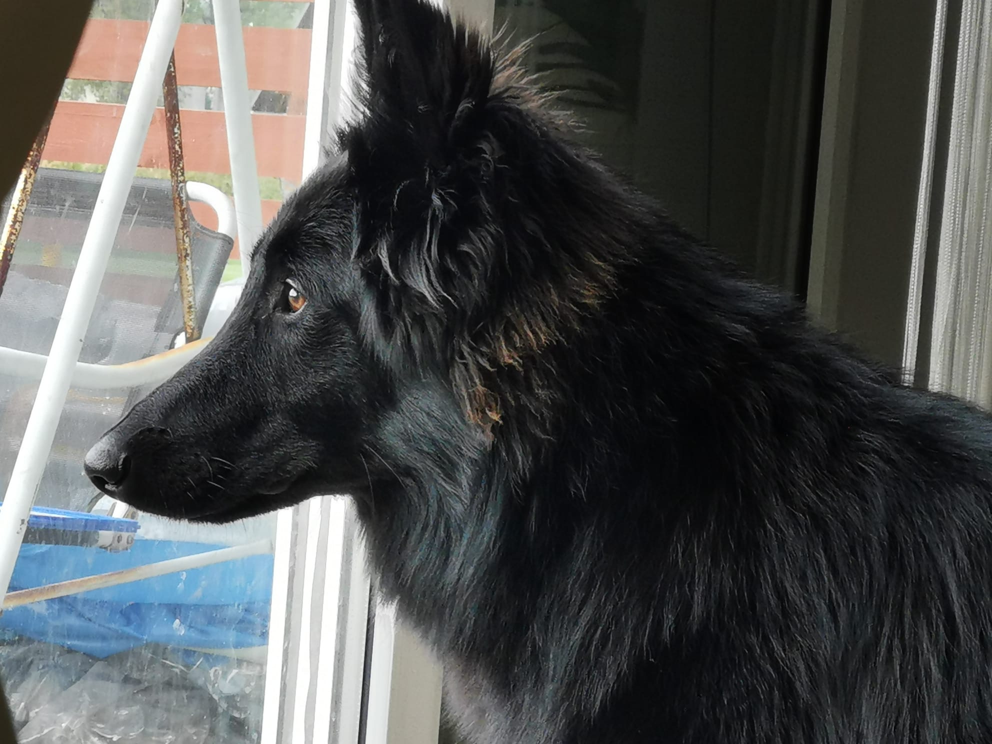 9 months old