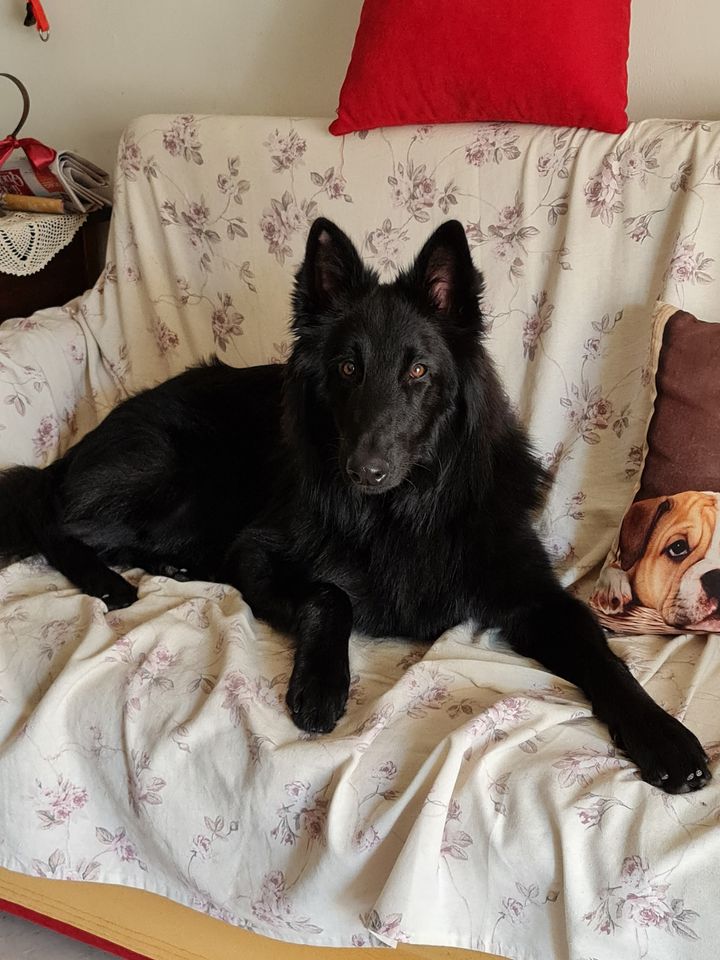 9 months old - 1