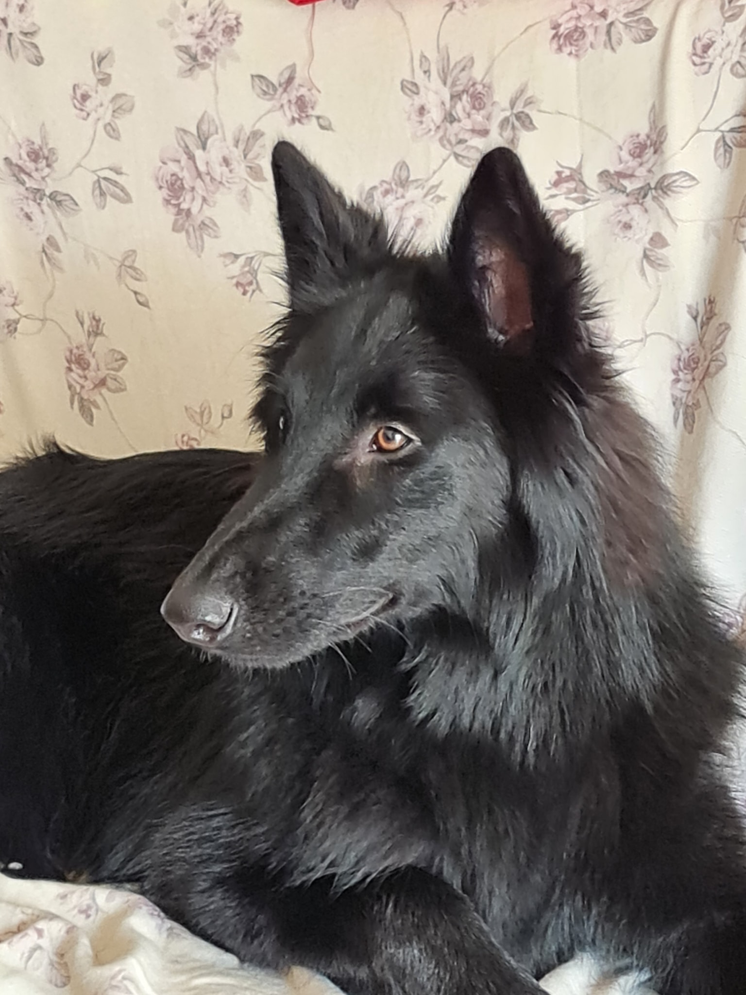 9 months old - 2
