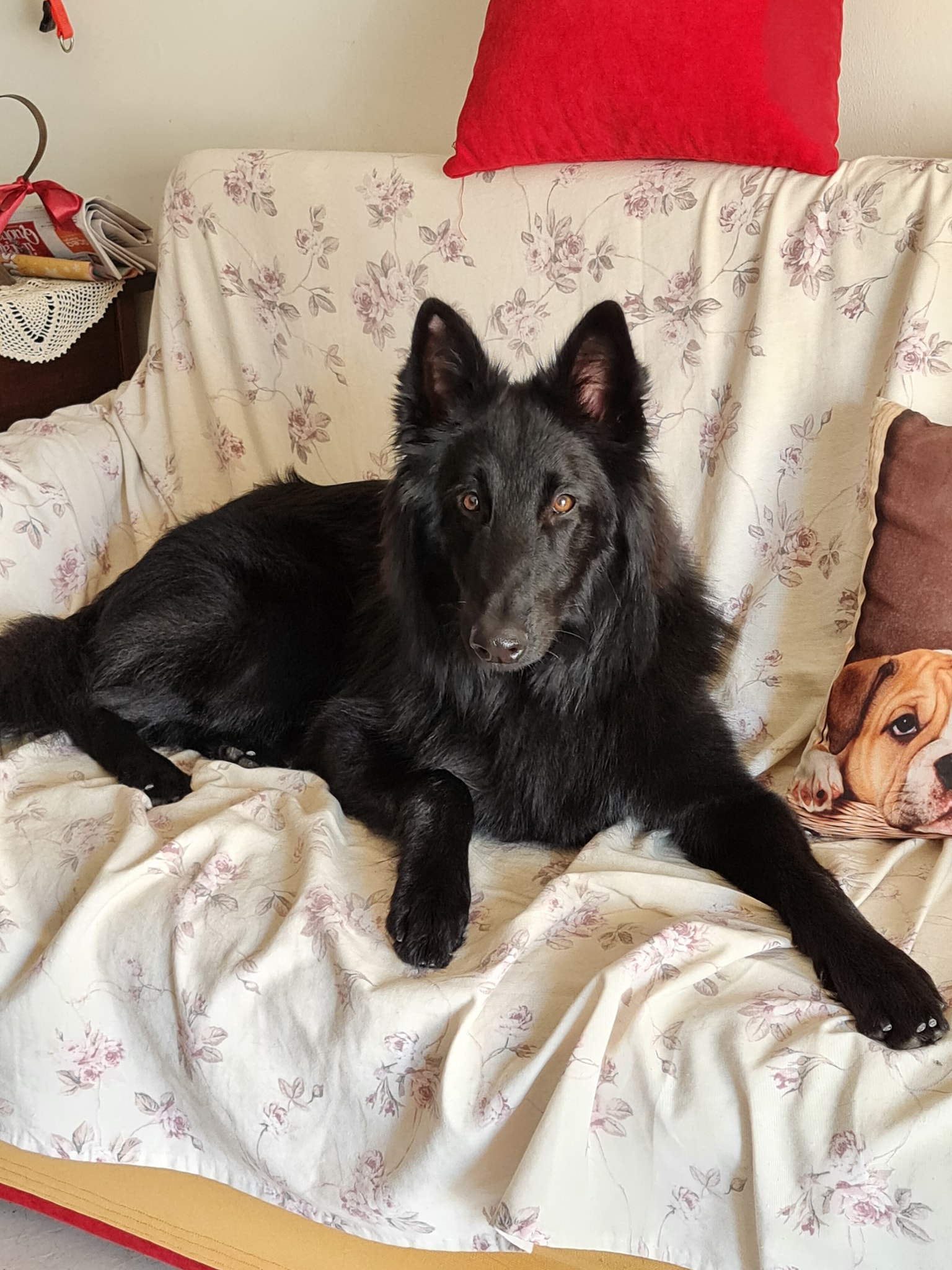 9 months old - 3