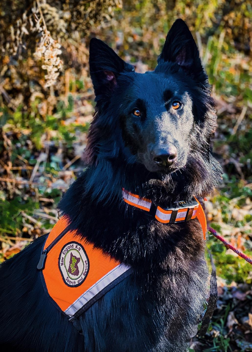 9 months old