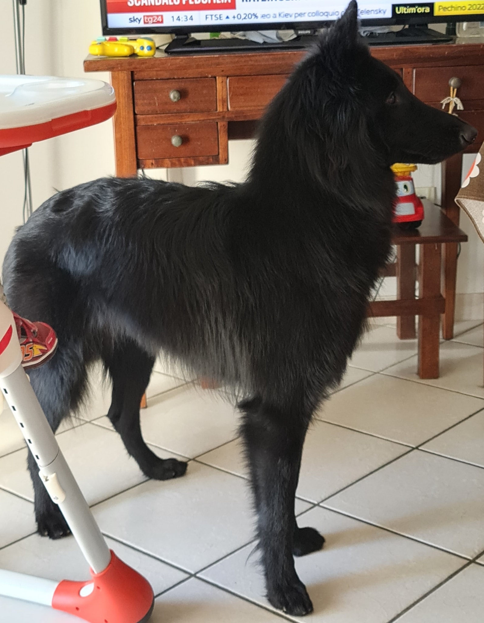 1 year old