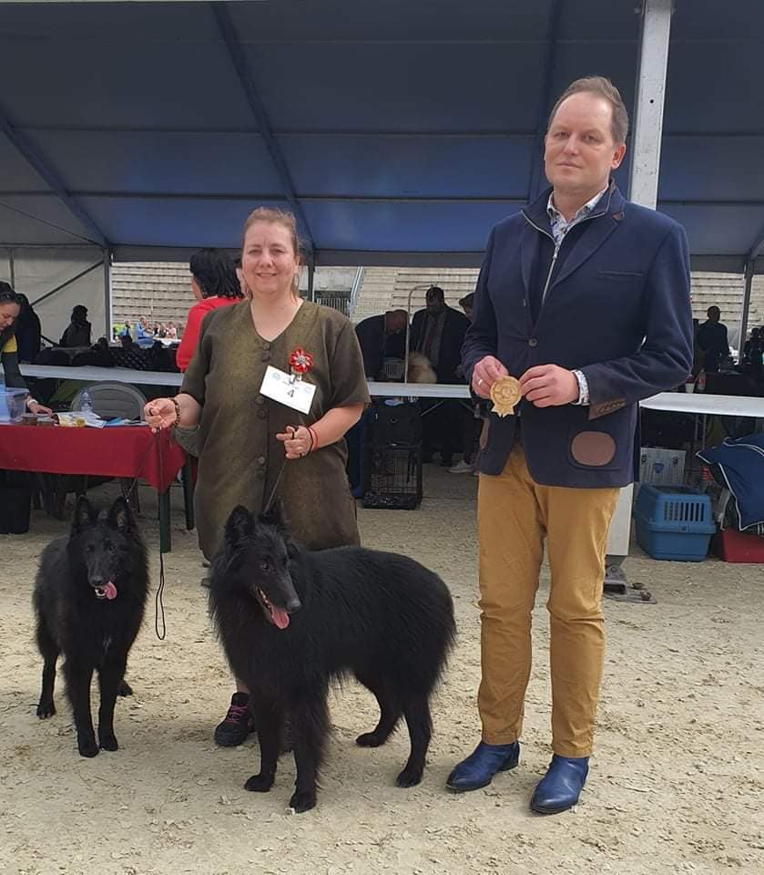 Gipsi Interchampion