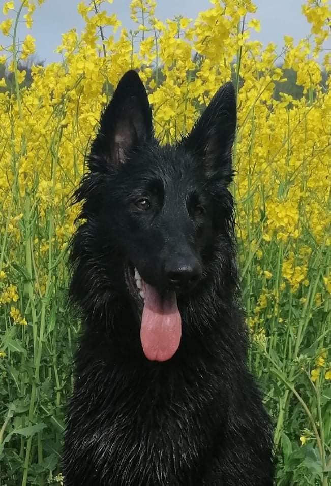 13 months old 1