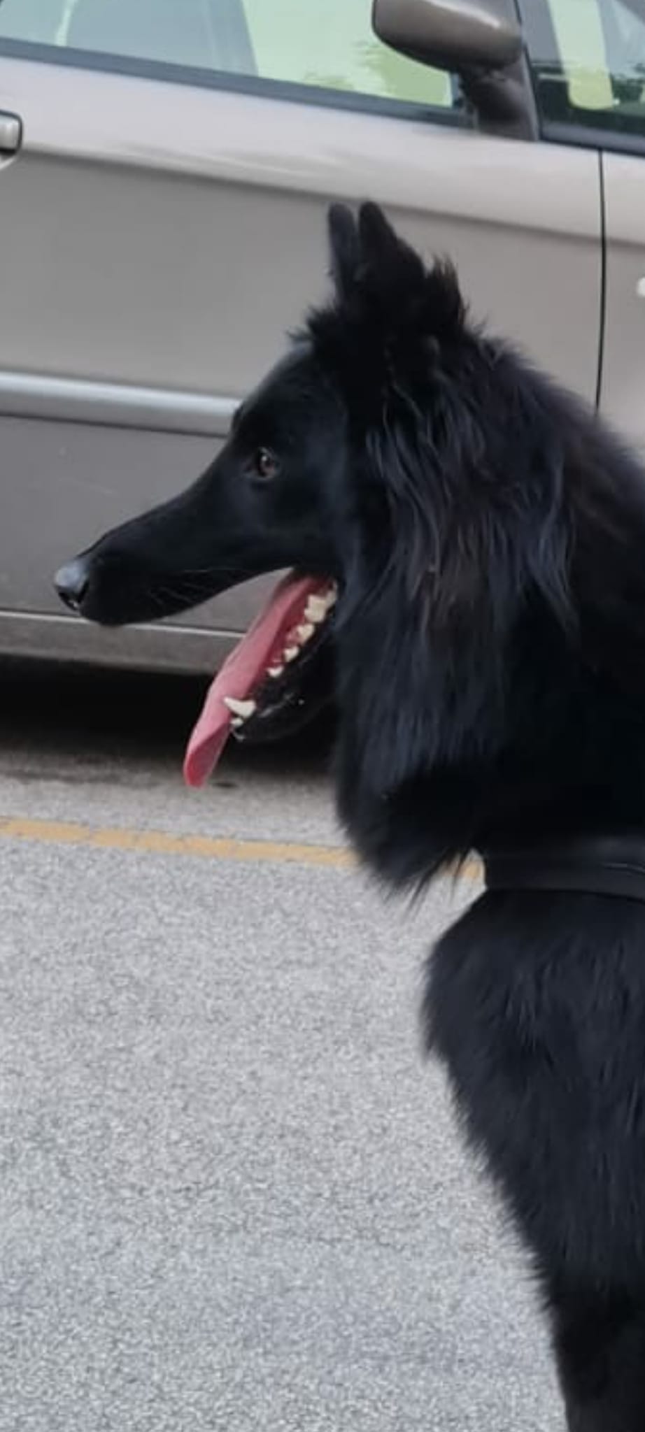 14 months old