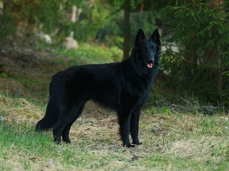 15 months old 1