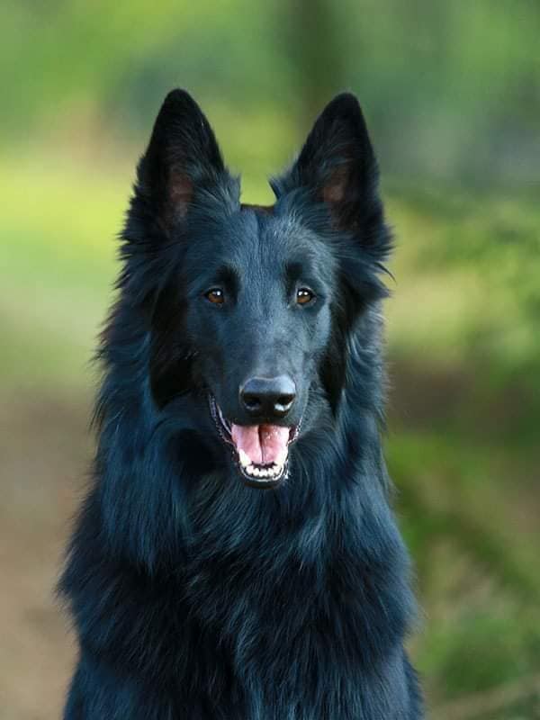 15 months old 2