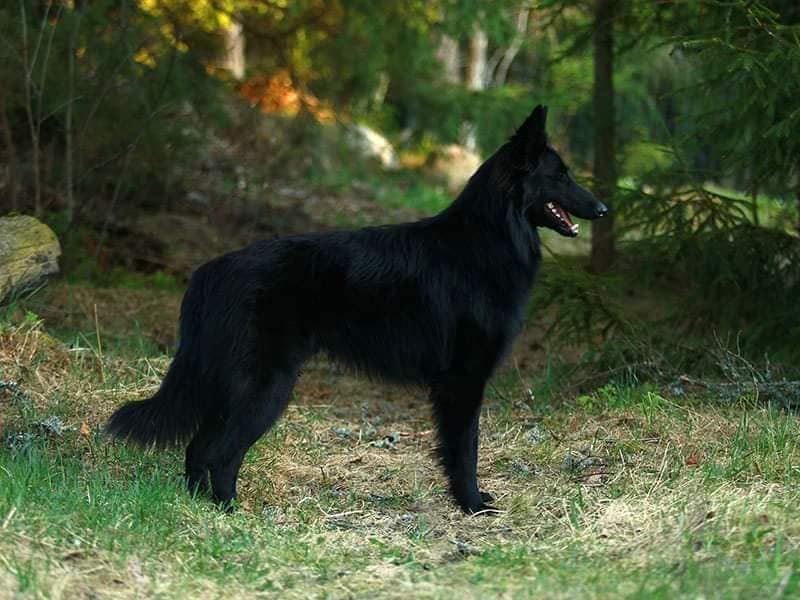 15 months old 3