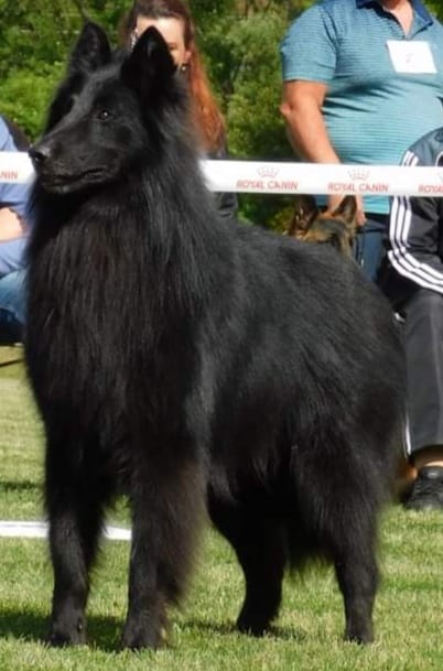 Klubová výstava 10