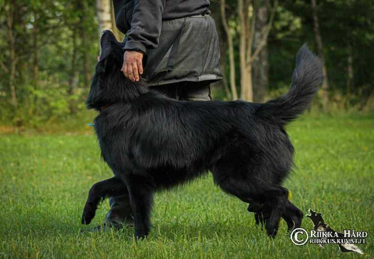 17 months old 2