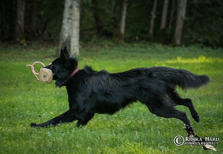 17 months old 6