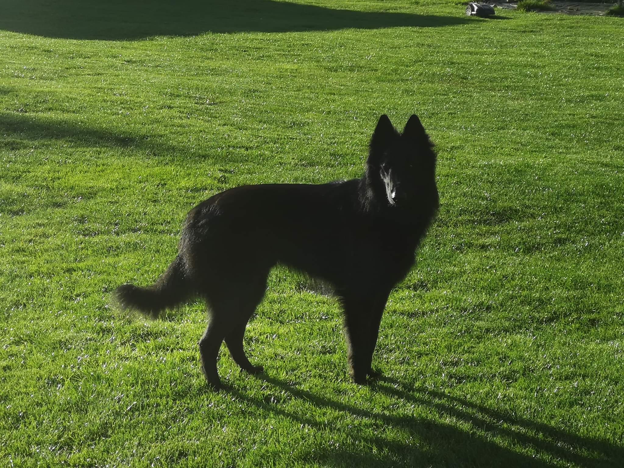 18 months old