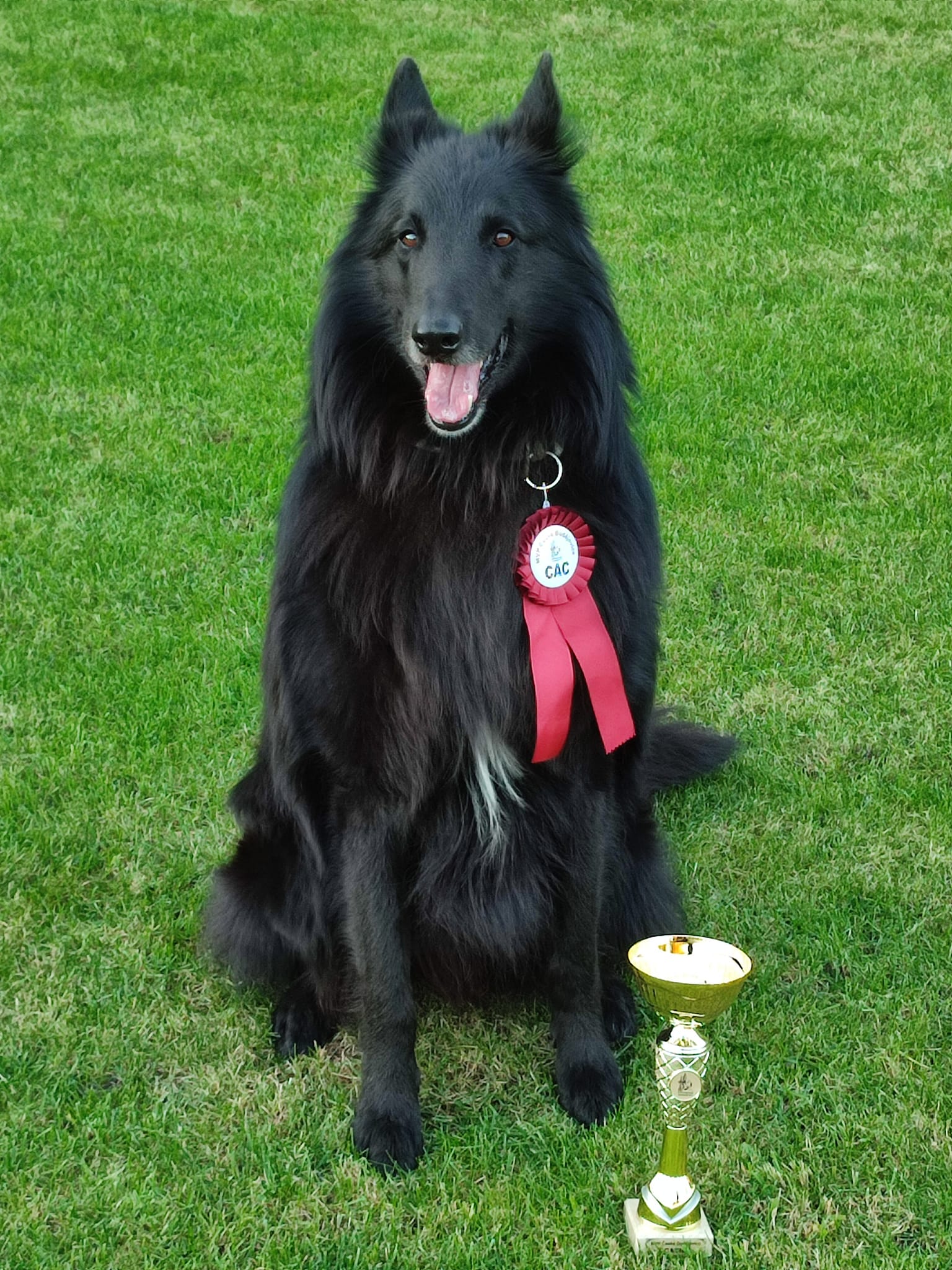 MVP České Budějovice 1