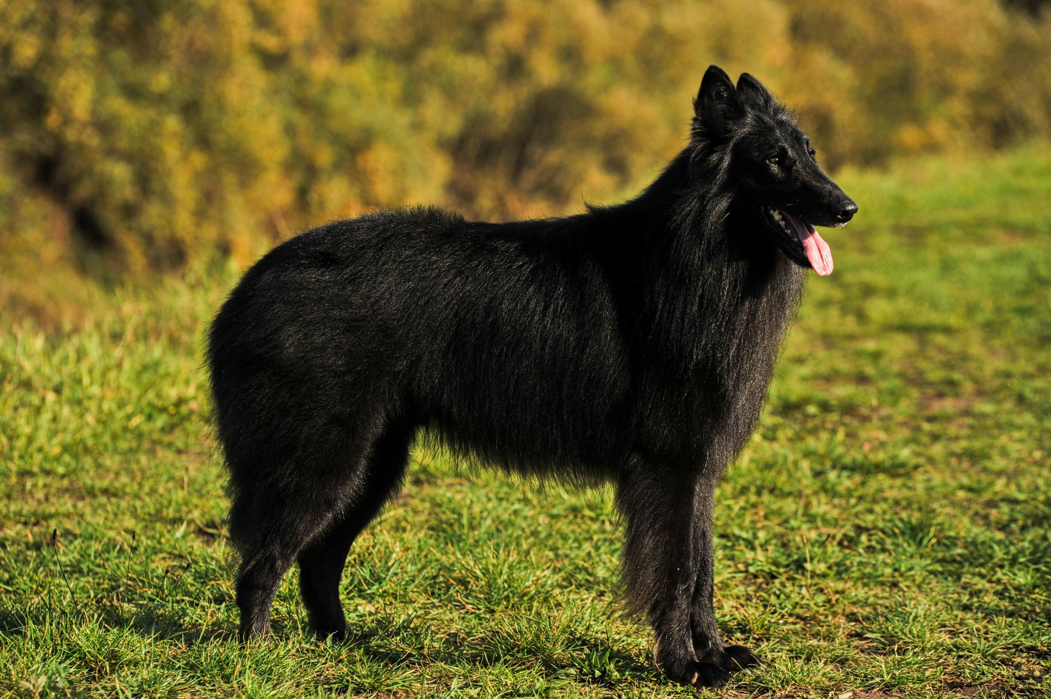 4,5 roku 23