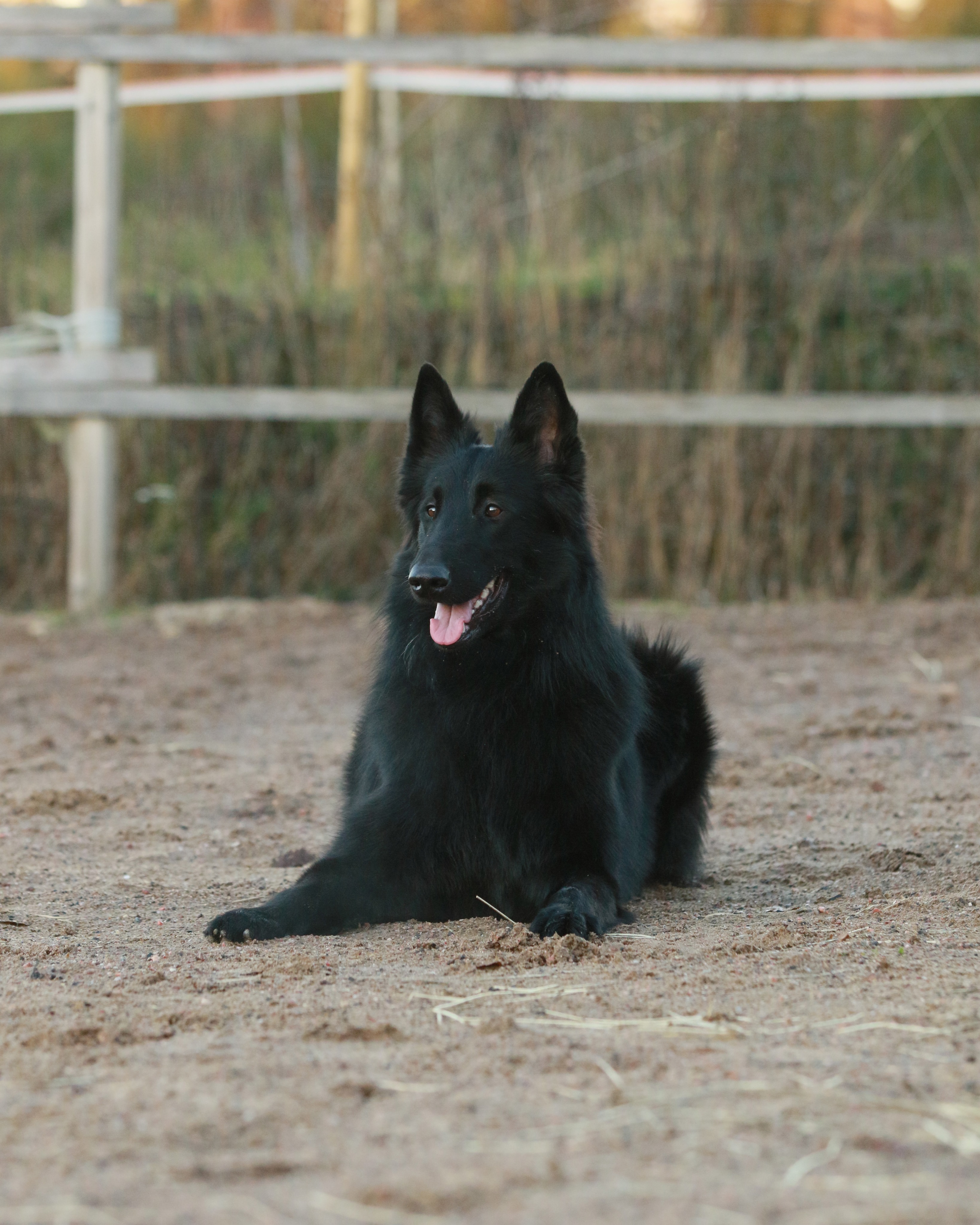 19 months old 5