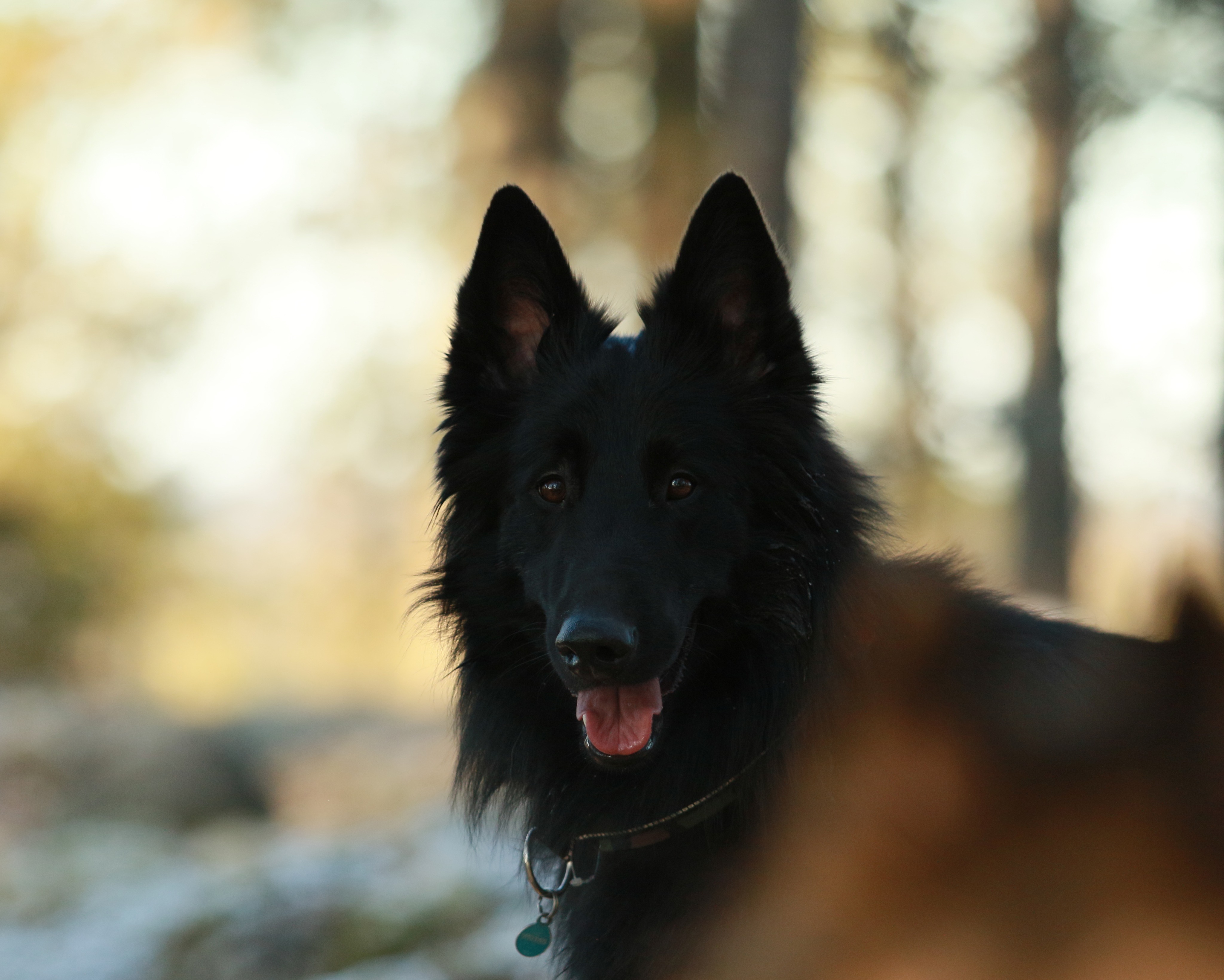 Almost 2 years old 4