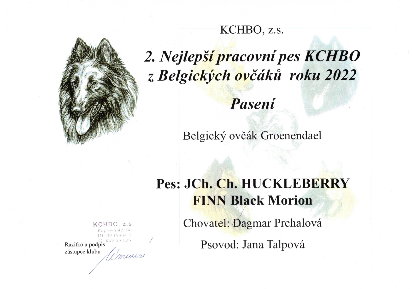 Cherokee Black Morion