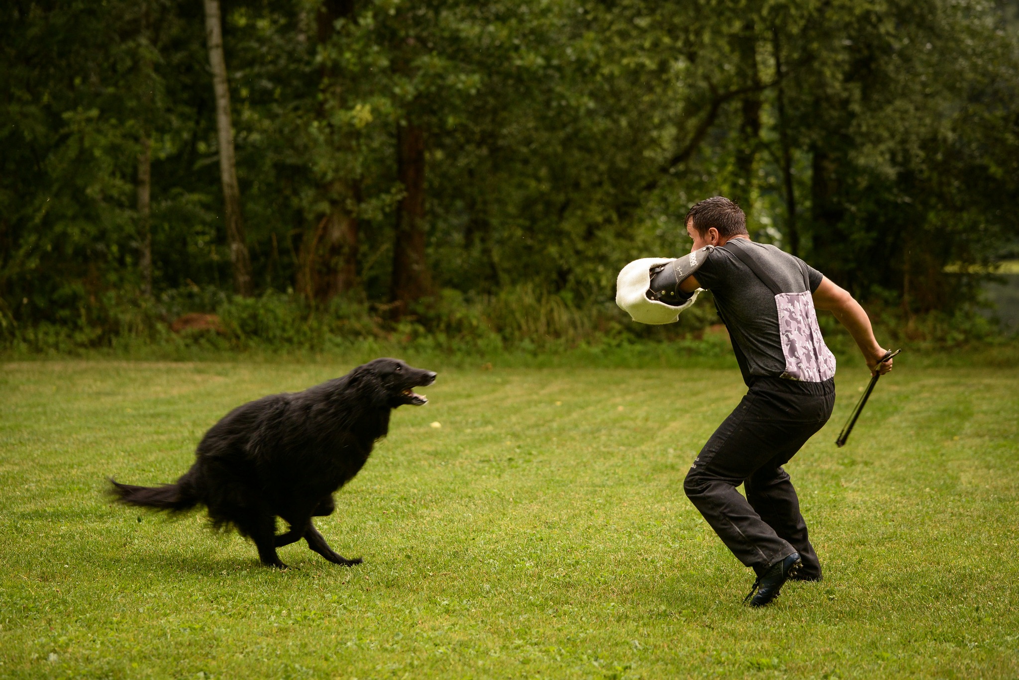 6 years, protection training 5