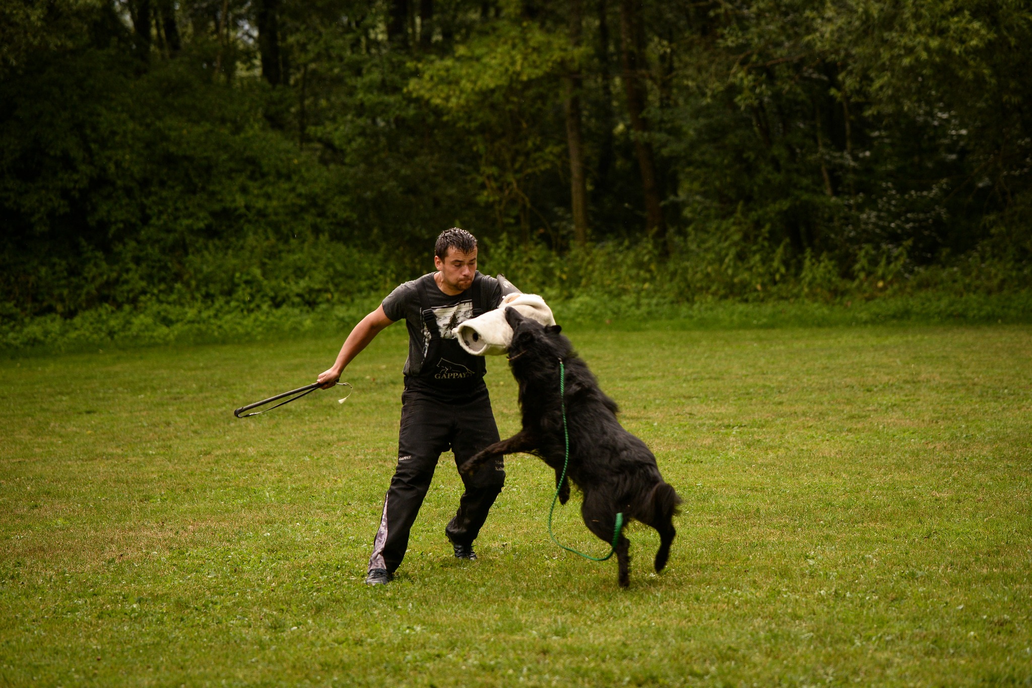 6 years, protection training 6