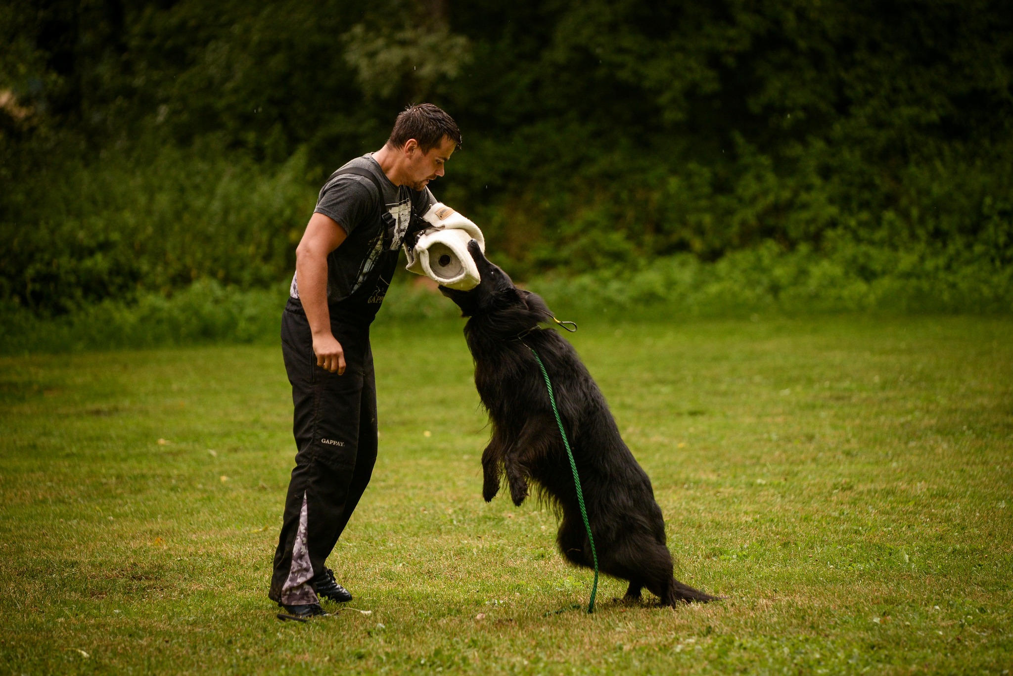 6 years, protection training 7