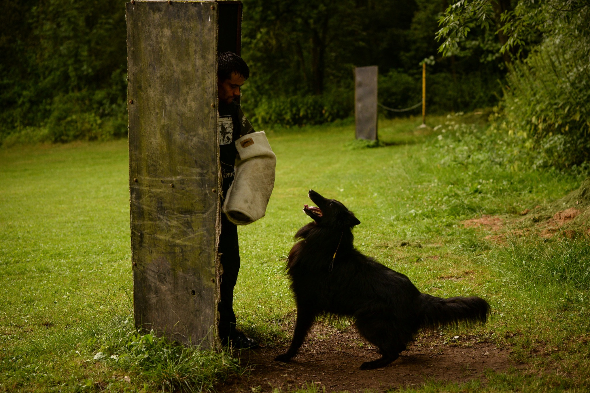 6 years, protection training 9