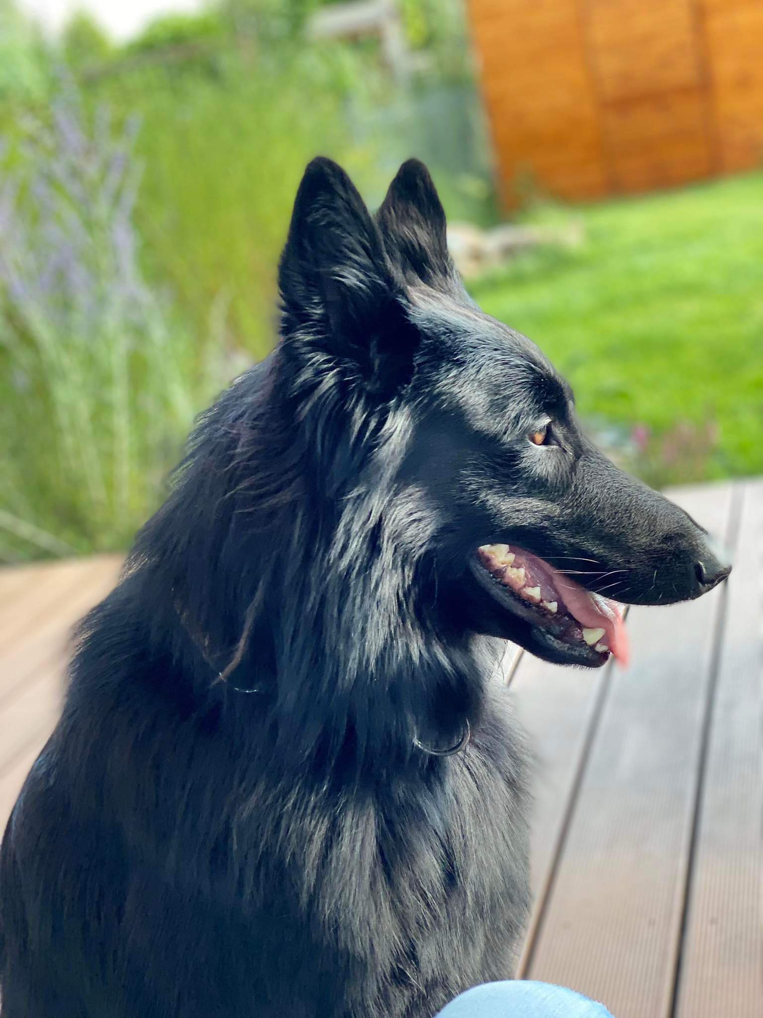 2.5 years old 1