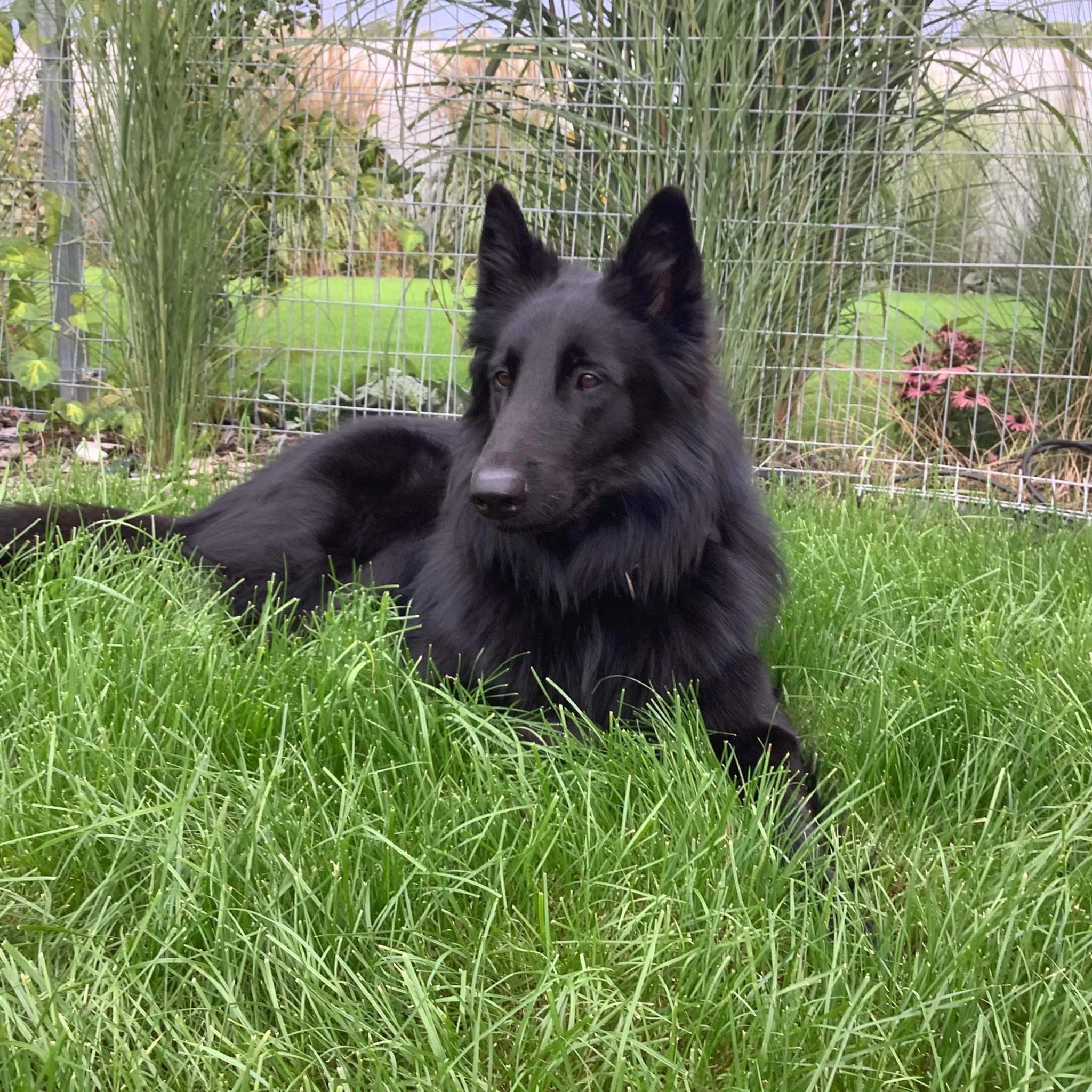 2.5 years old 3