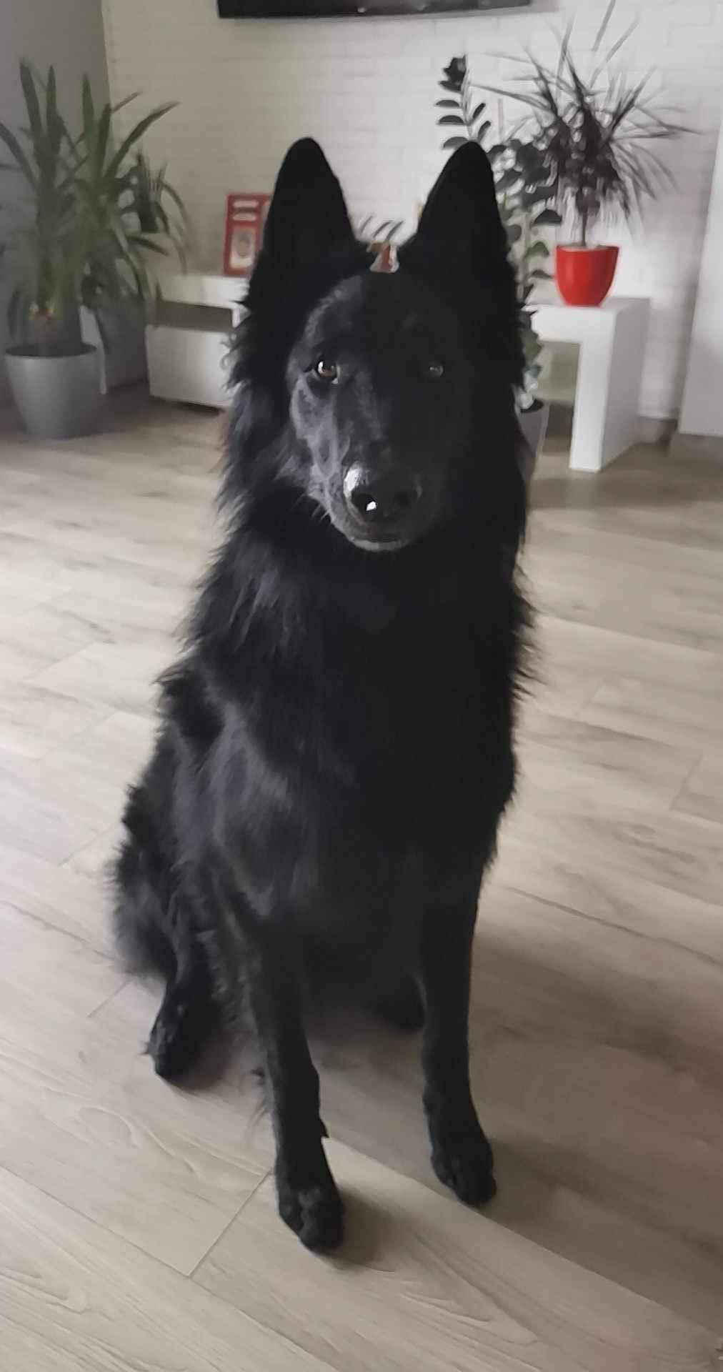 2.5 years old