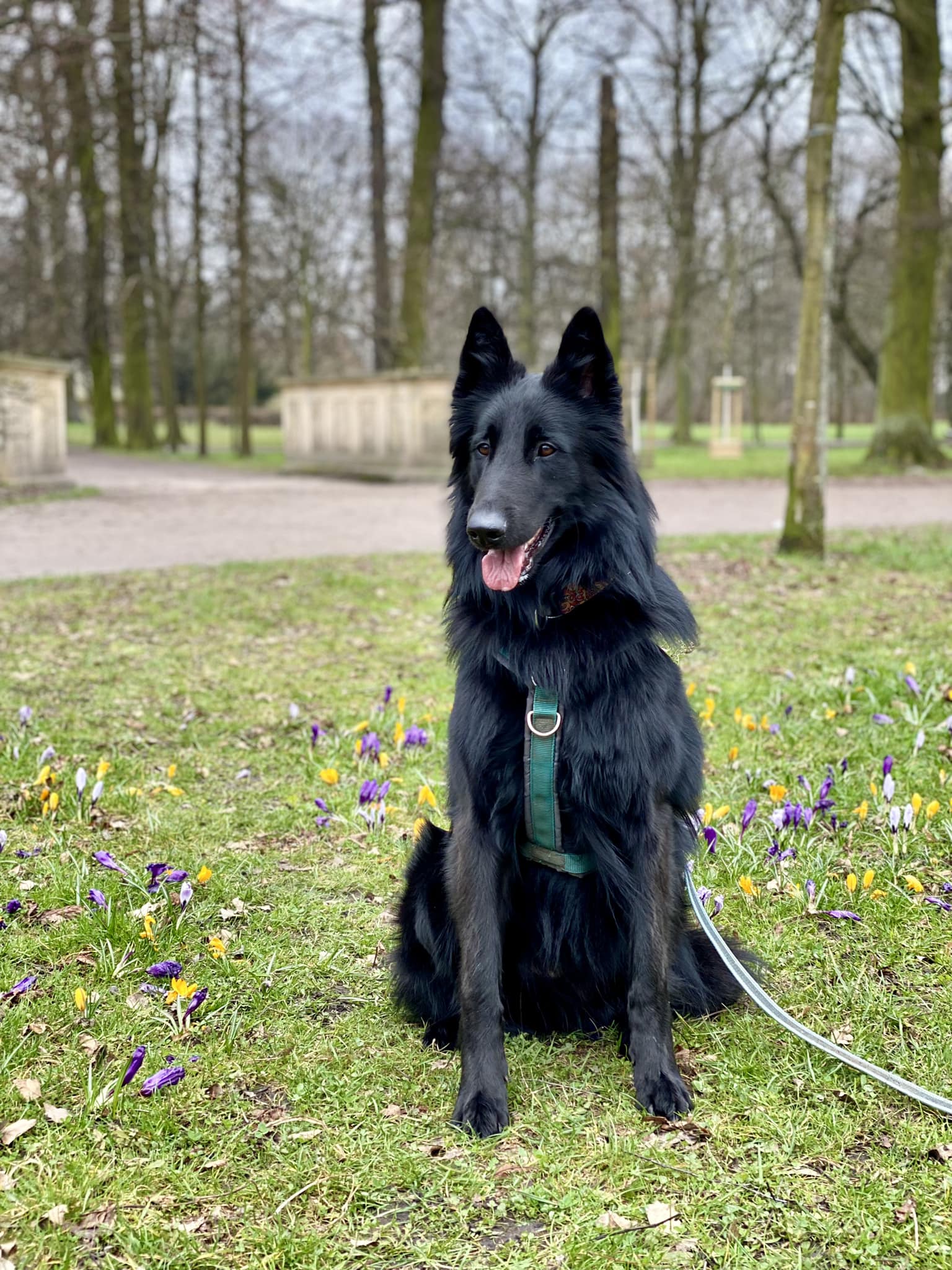 3 years old 2