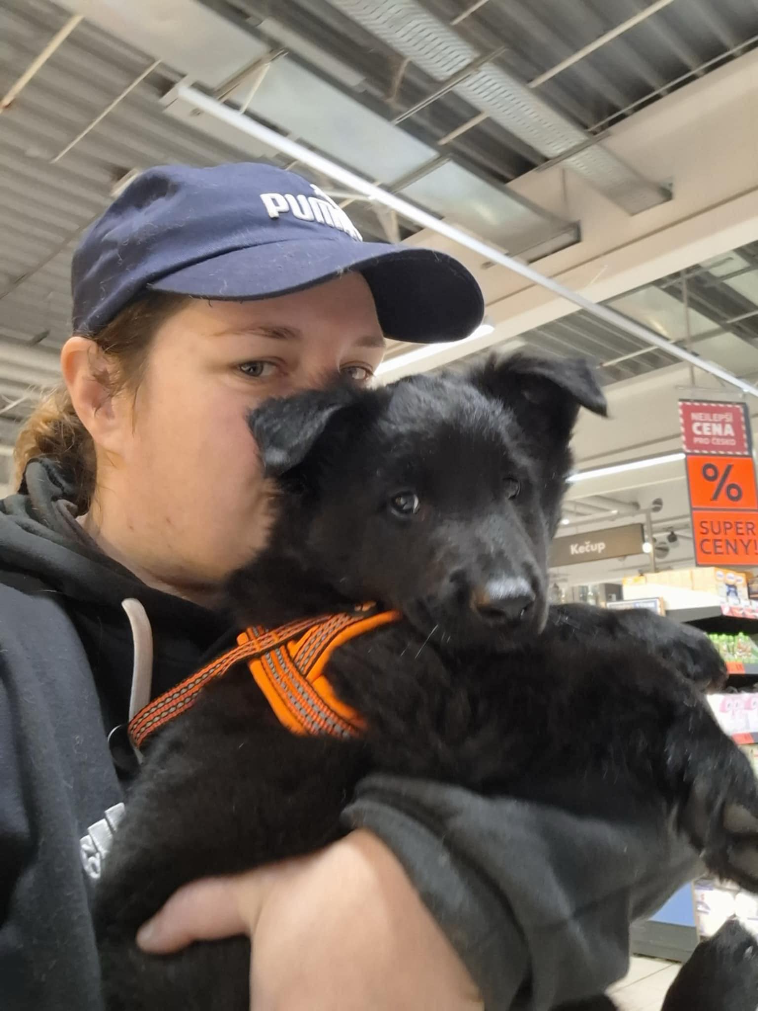 8 weeks old