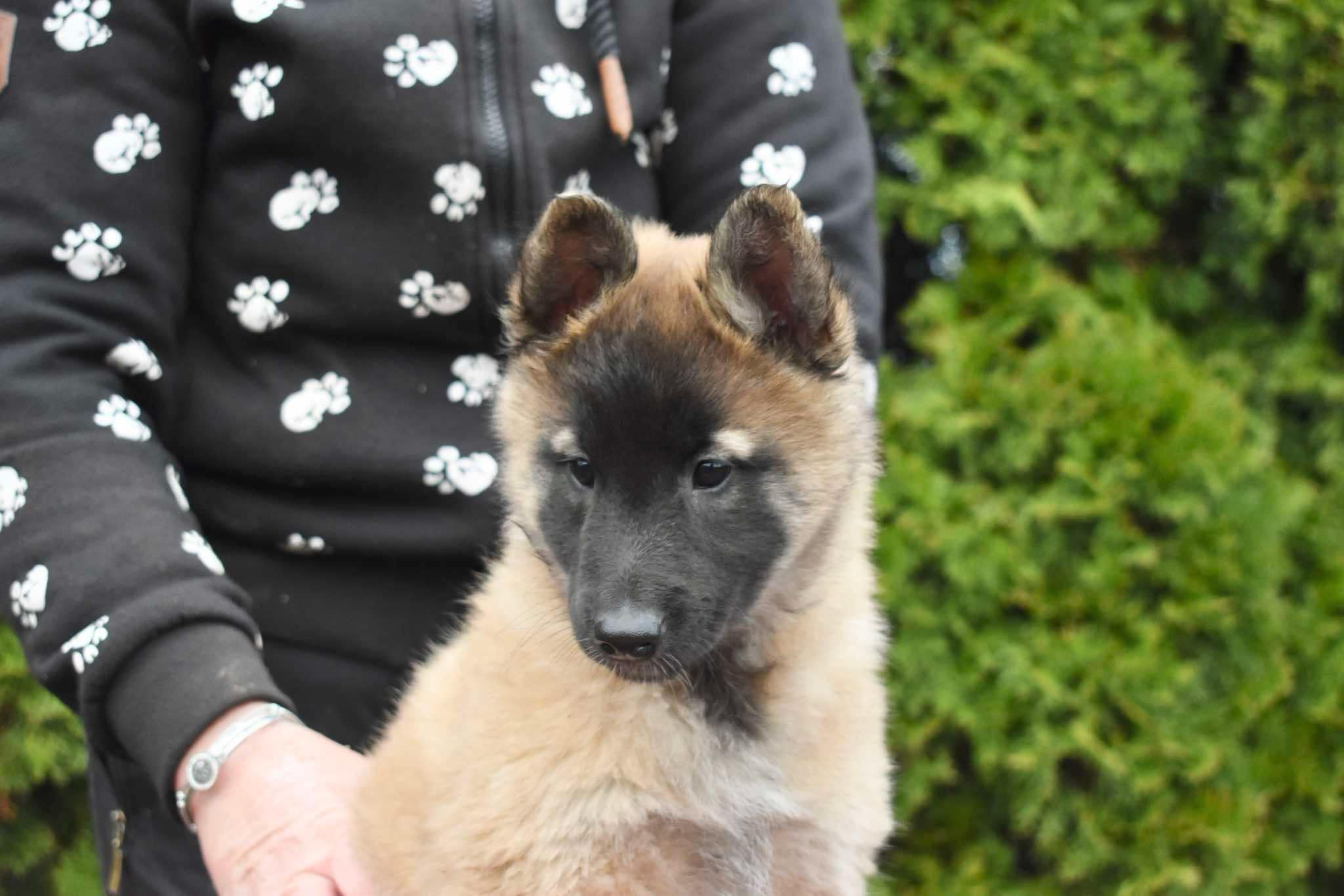 8 weeks old