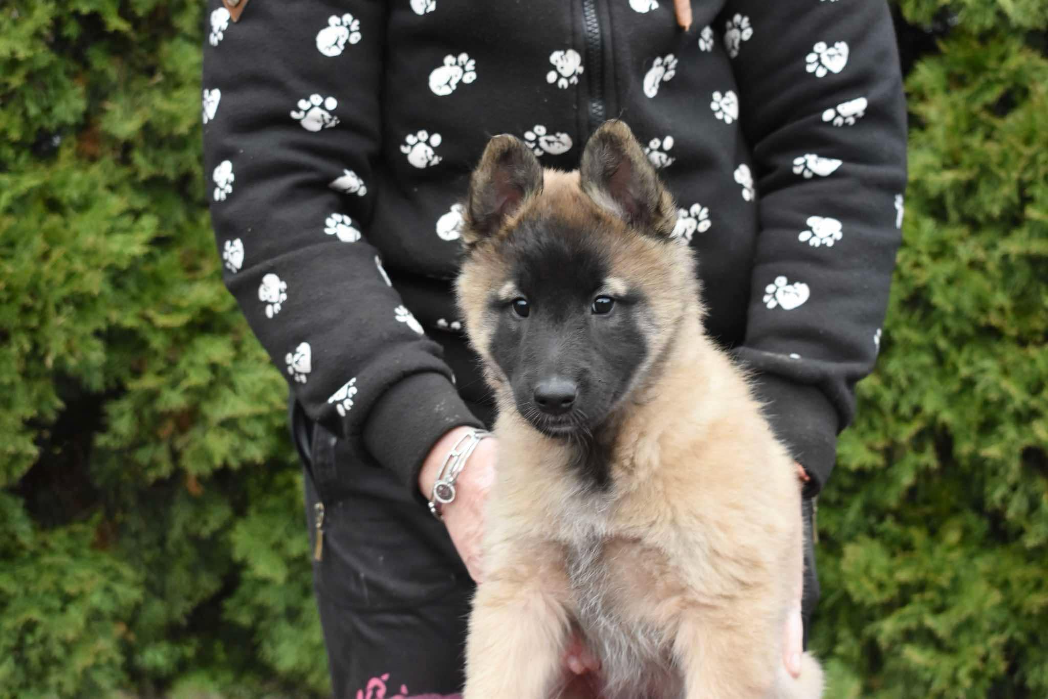 8 weeks old