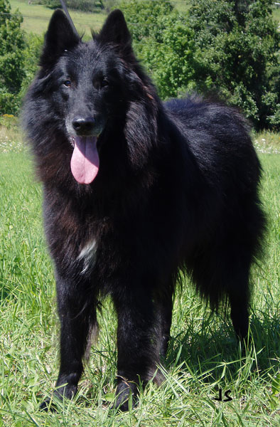 Jack P7290014