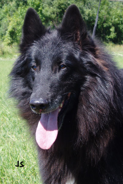 Jack P7290016