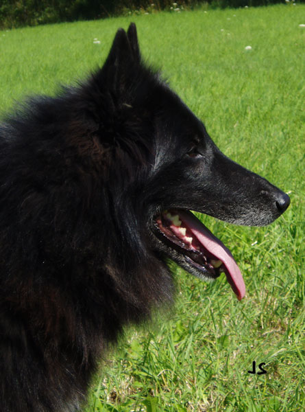 Jack P7290027