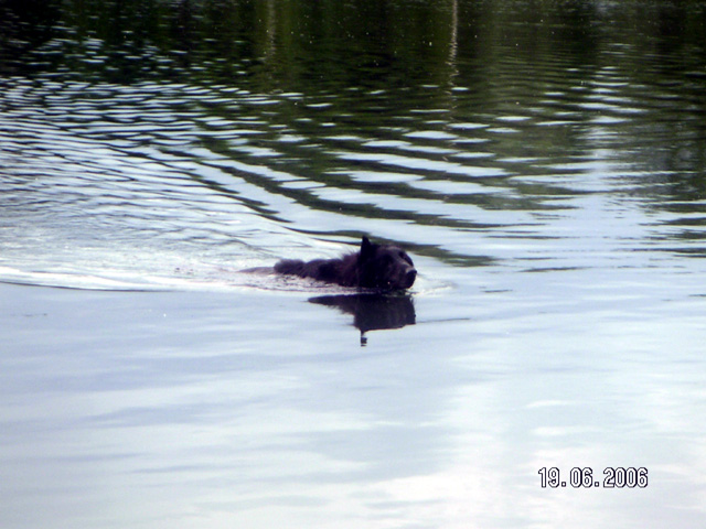 June 2006