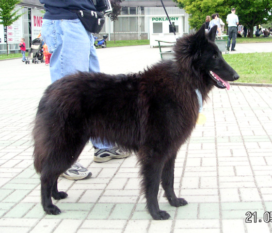 květen 2005 1