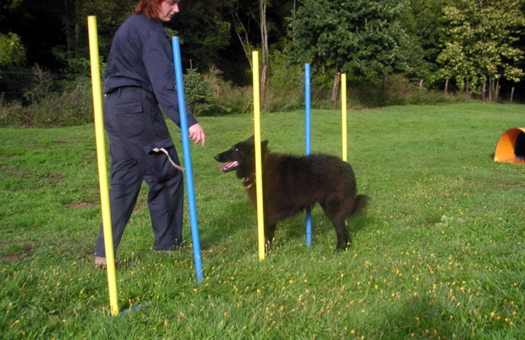 agility 2