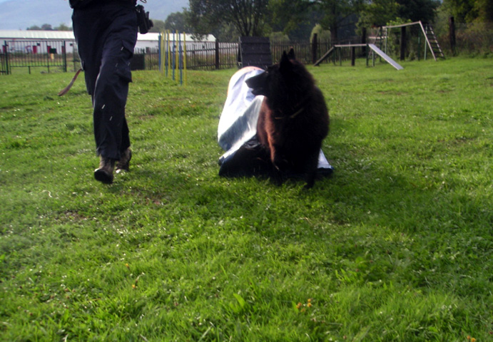agility 3